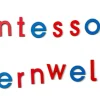 Bewegliches Alphabet - Großbuchstaben im Holzkasten