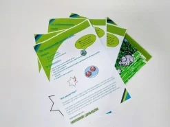 10 erstaunliche Experimente (DOWNLOAD)