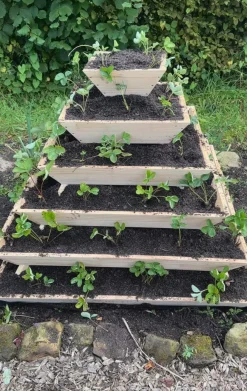 Große Pflanzpyramide aus Holz - ideal als Erdbeerpyramide und Kräuterpyramide