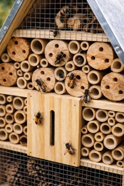 Hotel für Wildbienen und Insekten - selbststehend oder zum Aufhängen