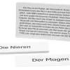 Legematerial für den Lernteppich Körper und Organe