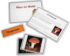Legematerial - Pilze des Waldes (DOWNLOAD)