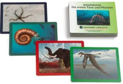 Legematerial zur Erdzeitalterkette