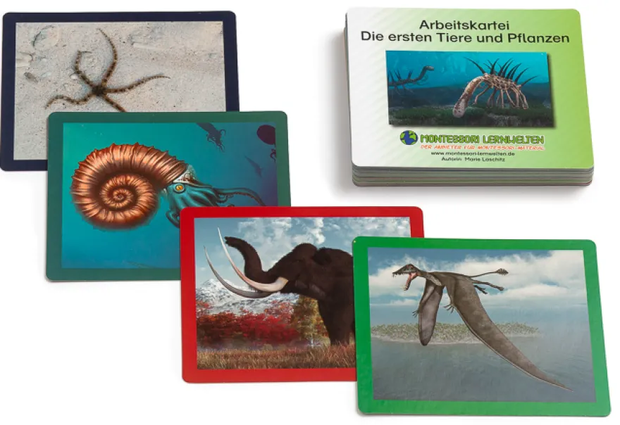 Legematerial zur Erdzeitalterkette