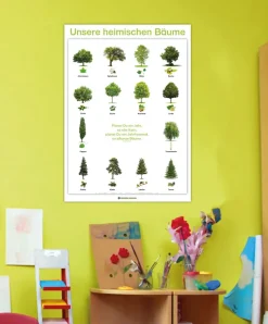 Lernposter Unsere heimischen Bäume (DOWNLOAD)