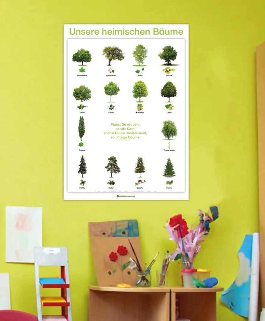 Lernposter Unsere heimischen Bäume (DOWNLOAD)