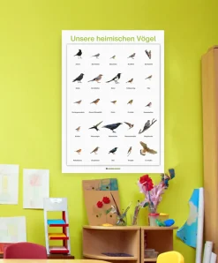Lernposter Unsere heimischen Vögel (DOWNLOAD)