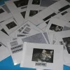 Leseübungen zu Tiger, Katze, Gepard, Löwe, Luchs (DOWNLOAD)