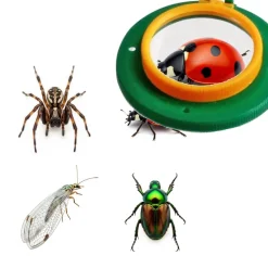 Lupenbecher - Insekten tierfreundlich beobachten