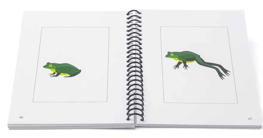 Optische Täuschungen - Ein Buch mit Illusionen für kreative Kinder ab 5 Jahren (DOWNLOAD)