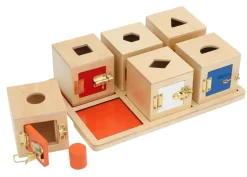 Tablett mit 6 Löcher-Boxen